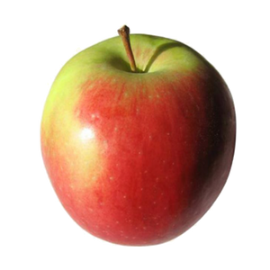 Elstar Apfel