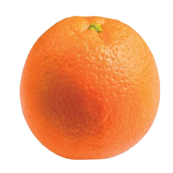 Hand orange